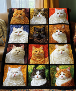 Adorable Kitten Quilted Blanket NCU0DV632