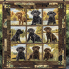 black creek wanderers quilted blanket ncu0dv1661 aqxzu.png