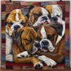 boxer bliss quilted blanket ncu0dv1979 5dfsy.png