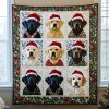 canine creations quilted blanket ncu0pt1418 xk3nx.jpg