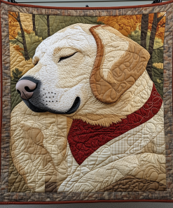 fetch in the fields quilted blanket ncu0dk1016 hqmin.png