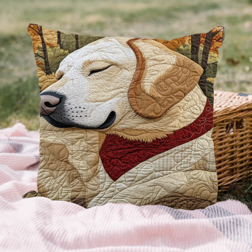fetch in the fields quilted pillow case ncu0dk1318 ryxwu.png