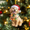 golden festive fun mica ornament ncu0vl811 3qiq0.png