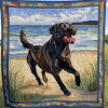 loyal companion quilted blanket ncu0dv1660 lcqll.png