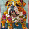 sturdy bulldog strength quilted blanket ncu0dv1468 ee7sh.png