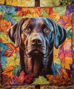 woof wonder quilted blanket ncu0pt1439 hfuas.jpg