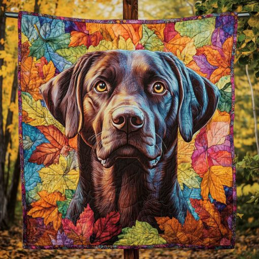 woof wonder quilted blanket ncu0pt1439 hfuas.jpg